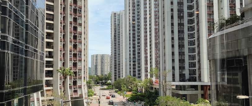 花とビジネスの恋