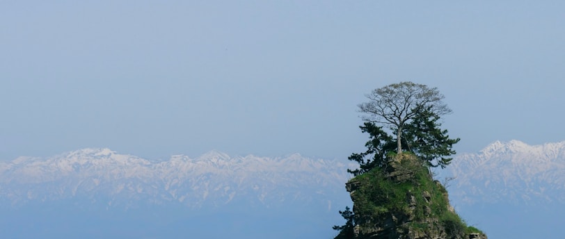 海辺の恋の物語